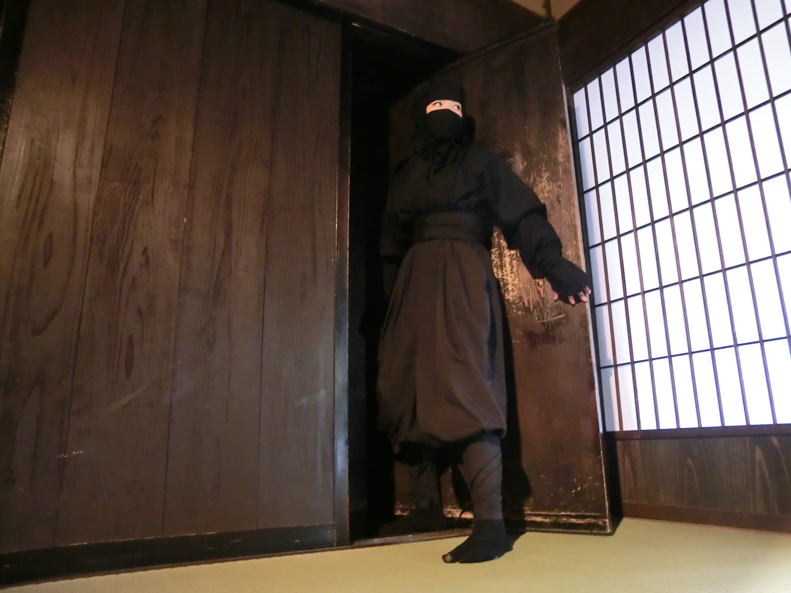 忍者 屋敷 からくり 種類